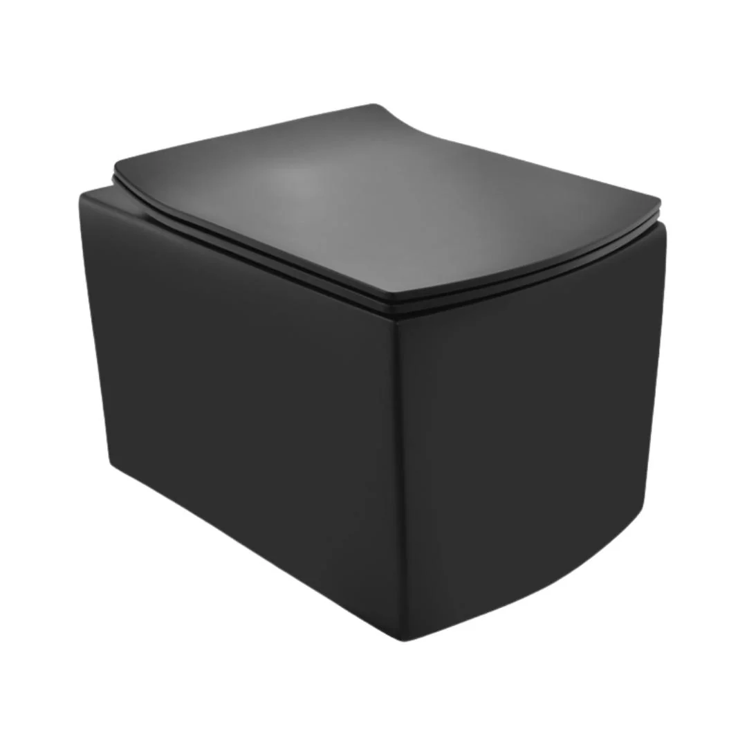 Rimless, Blind Installation Wall Hung WC