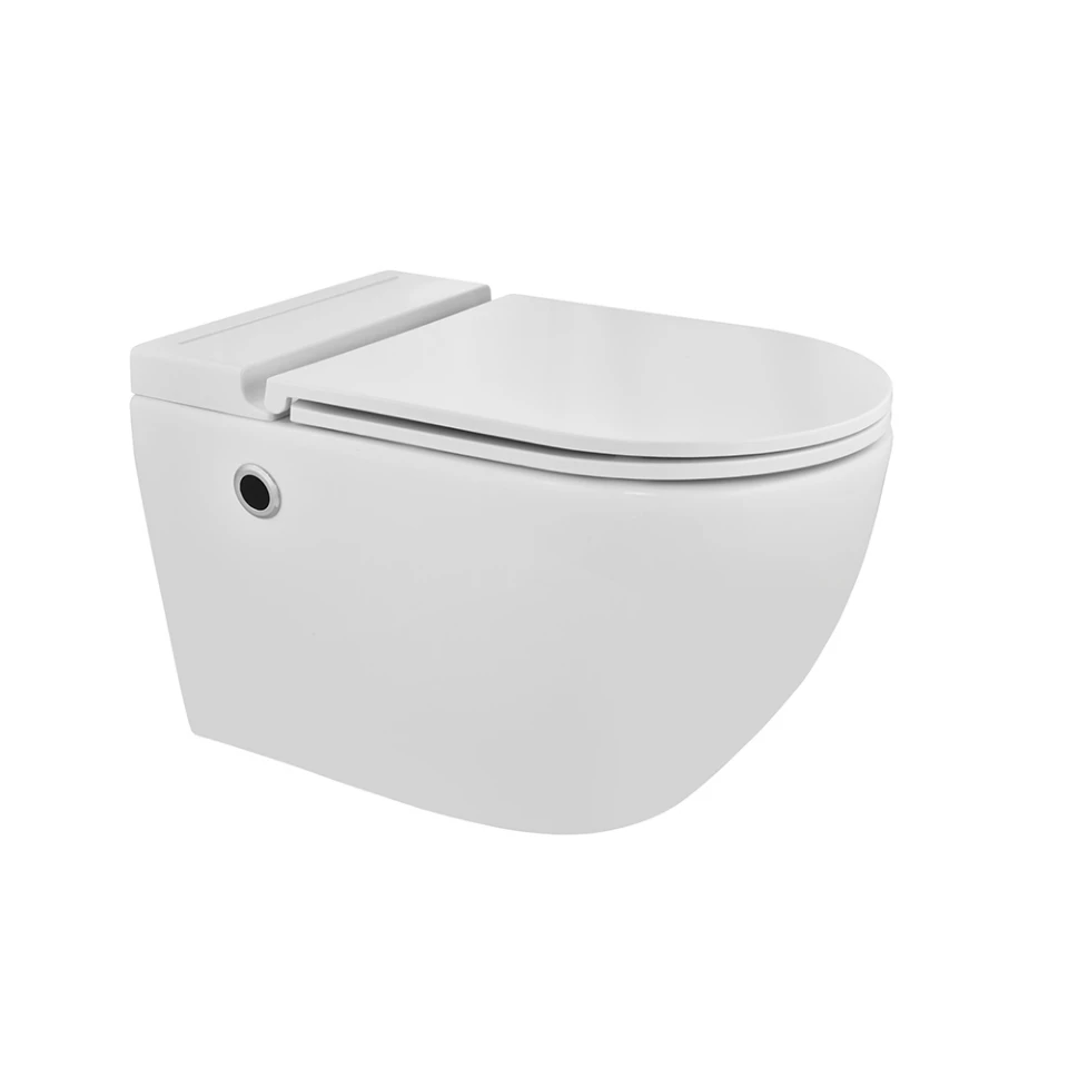 Tankless Wall Hang WC